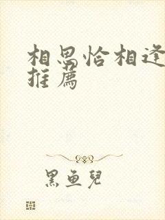 相思恰相逢好剧推荐