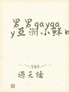 男男gaygay亚洲小鲜肉网站