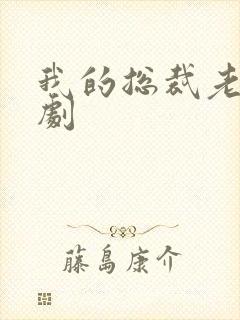 我的总裁老婆短剧