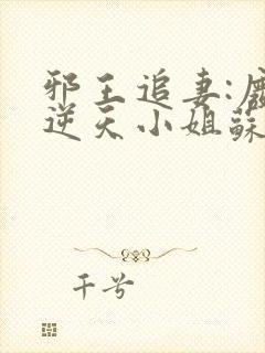 邪王追妻:废材逆天小姐苏落南宫流云