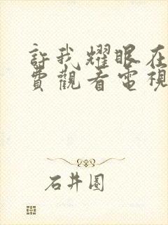 许我耀眼在线免费观看电视剧封面