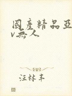 国产精品亚洲av无人