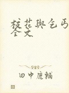 校花与乞丐小说全文