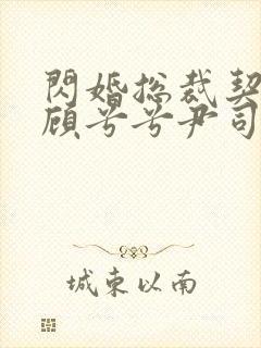 闪婚总裁契约妻顾兮兮尹司宸