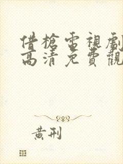 借枪电视剧全集高清免费观看封面