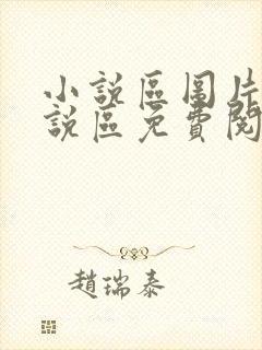 小说区图片区小说区免费阅读封面