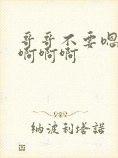 哥哥不要嗯嗯嗯啊啊啊封面