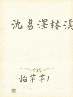 沈易泽林溪小说