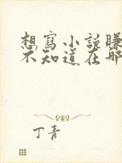 想写小说赚钱但不知道在哪里写