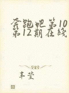 奔跑吧第10季第12期在线观看