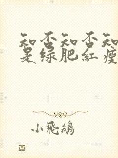 知否知否知否应是绿肥红瘦高清在线观看