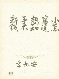 新手想写小说赚钱不知道怎么做