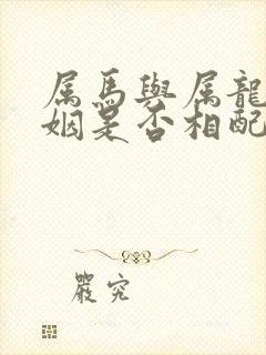 属马与属龙的婚姻是否相配