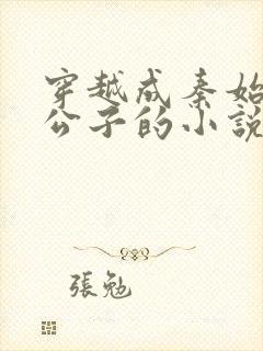 穿越成秦始皇二公子的小说