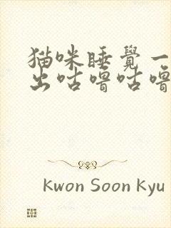 猫咪睡觉一直发出咕噜咕噜的声音封面