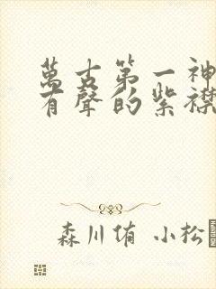 万古第一神听书有声的紫襟