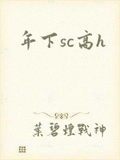 年下sc高h封面