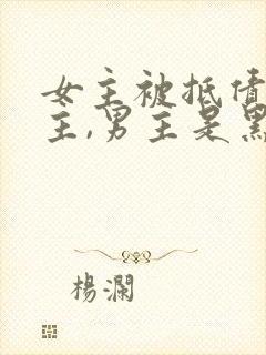 女主被抵债给男主,男主是黑道,女主年