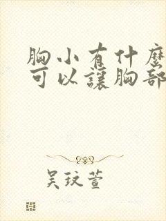 胸小有什么办法可以让胸部变大