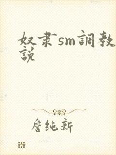 奴隶sm调教小说