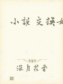 小说 交换女友封面