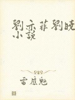 刘亦菲刘晓莉的小说封面