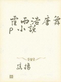 霍雨浩唐舞麟cp 小说