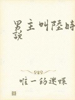 男主叫陆时的小说封面