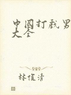 中国打戏男演员大全封面