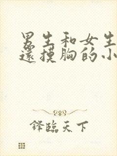 男生和女生亲吻还摸胸的小说