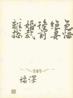 离婚后绝色高冷总裁前妻悔断肠