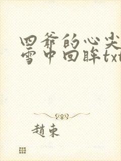 四爷的心尖宠妃雪中回眸txt封面