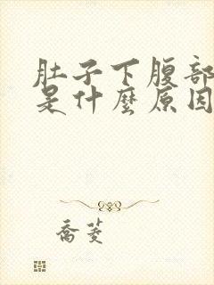 肚子下腹部疼痛是什么原因