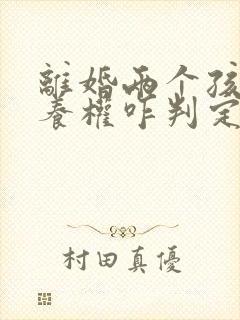 离婚两个孩子抚养权咋判定