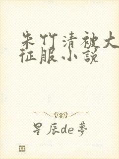 朱竹清被大肉楱征服小说