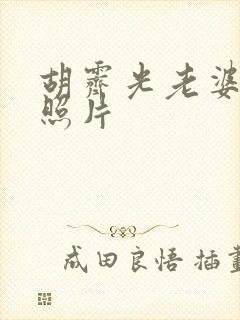 胡霁光老婆王静照片