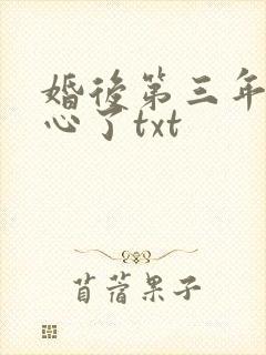 婚后第三年他变心了txt封面