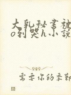 大乳秘书被cao到哭h小说