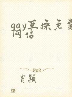 gay互操免费网站