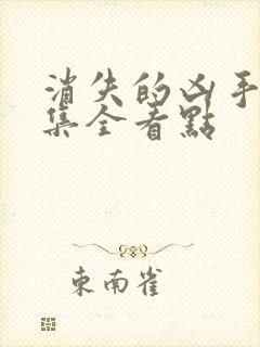 消失的凶手16集全看点