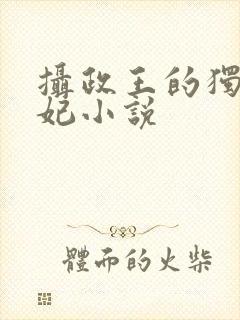 摄政王的独宠医妃小说