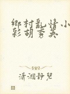 乡村乱情小雷小彩胡秀英