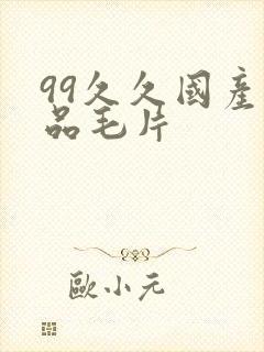 99久久国产精品毛片