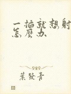 一插就想射应该怎么办封面