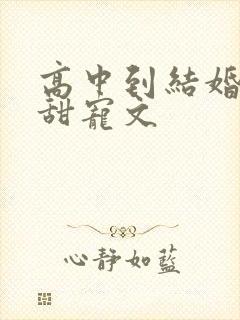 高中到结婚校园甜宠文