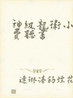 神级龙卫小说免费听书