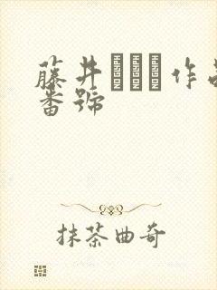 藤井リアナ作品番号