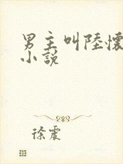 男主叫陆怀远的小说