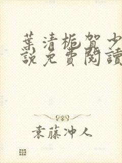 叶清栀贺少衍小说免费阅读最新章节封面