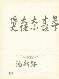 傅太太才是玄学大佬小说下载